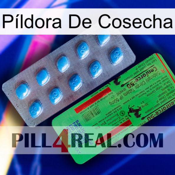 Píldora De Cosecha new03.jpg